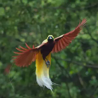 Bagian yang Dominan pada Alat Masak Bersifat: Semua yang Perlu Anda Ketahui