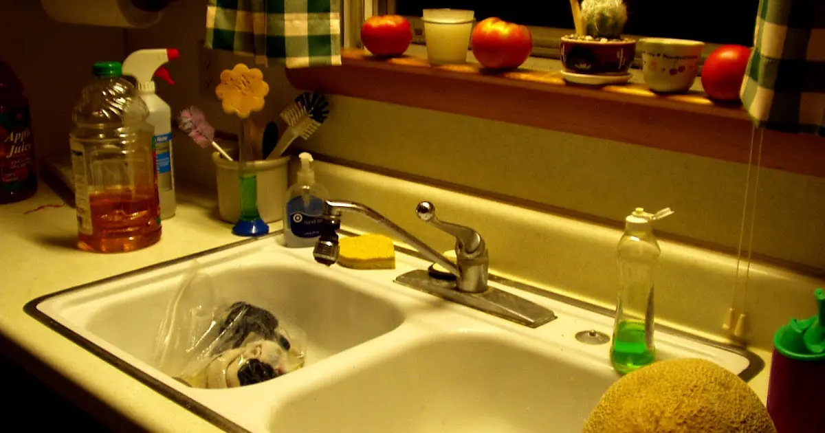 Cara Membersihkan Alat Masak Stainless Steel dengan Mudah dan Efektif